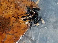 20181026_092408.jpg