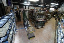 Indoor store photo of Herp Hobby Shop.jpg