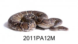 TNS_4430.jpg