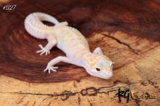 #1827-2.jpg