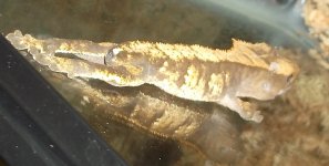 DSCF8858.jpg