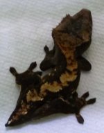 DSCF8859.jpg