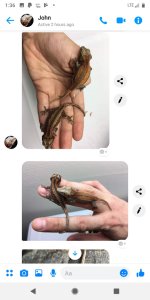 Screenshot_20190407-133607.jpg