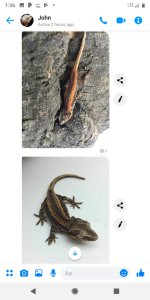 Screenshot_20190407-133612.jpg