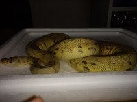 IMG_20181222_143653672.jpg