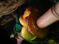 20180907_092839.jpg
