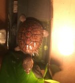 IP7AB8Y351DEFIU6~G3}B4K.jpg
