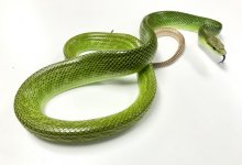 IMG_3163.jpg