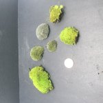 BB4D0C8E-ED23-4BA0-ADD3-C887C2FDF885.jpg