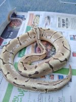 IMG-20181028-WA0015.jpg