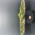 2D834686-8A55-4E29-93B4-9D04AB5A923F.jpg