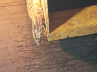 20190609_141144.jpg