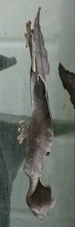 20181201_205349-1.jpg