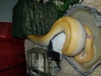 20181223_232956.jpg