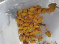 20181230_100129.jpg