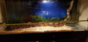 signal-2019-05-11-234223[1].jpg