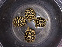 128F96A2-23FA-47F9-91F9-603D4C242BAC.jpg