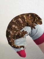 female1.jpg