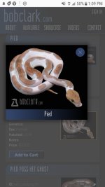 Screenshot_20181221-130953.jpg