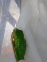 IMG_20170519_182142.jpg