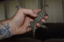 DSC_0063_1.jpg