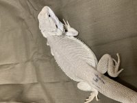 IMG_1473.jpg