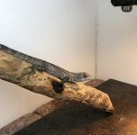 385C36E3-F669-4FCB-AEF5-92DB6CCB7C99.jpg