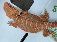IMG_2040.HEIC.jpg