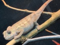 IMG_2214.jpg