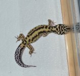 DSC_0384.jpg