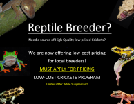 Breeder AD.PNG