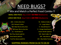 MIX AND MATCH MEGA AD.PNG