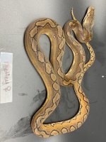 3EF9D3C7-3EA0-4266-9754-EB14CDDE8B87.jpg