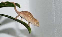 DSC_0303.jpg