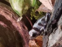 20181005_141137.jpg