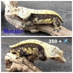 thumbnail_IMG_7193.jpg