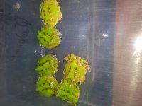 20180816_190720.jpg