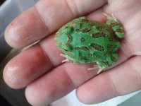 20190528_083945.jpg