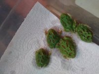 20190528_083923.jpg