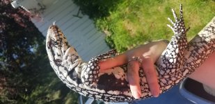20190510_150217.jpg