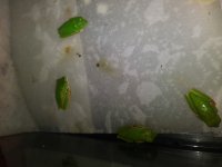 20190428_130527.jpg