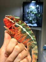 fullsizeoutput_6d7.jpg
