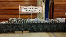 20160205_180007.a76ef047d8d24c03823acdf41c4ee7c8.jpg