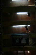 10gallonhuh3.JPG