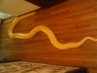 IMG01943-20100922-1542.jpg