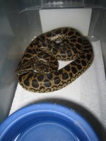 IMG_3524.jpg