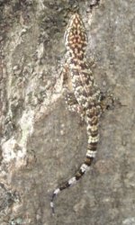 DSC07090-cropped.jpg