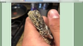 Screen Shot 2019-05-11 at 1.00.20 PM.jpg