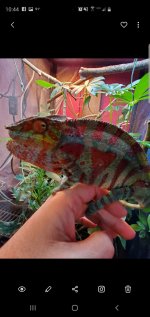 Screenshot_20190511-224406_Gallery.jpg
