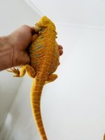 20181221_173201~2.jpg